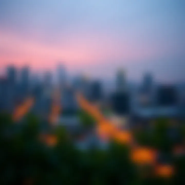 Overview of Bakkt's market position in cryptocurrency