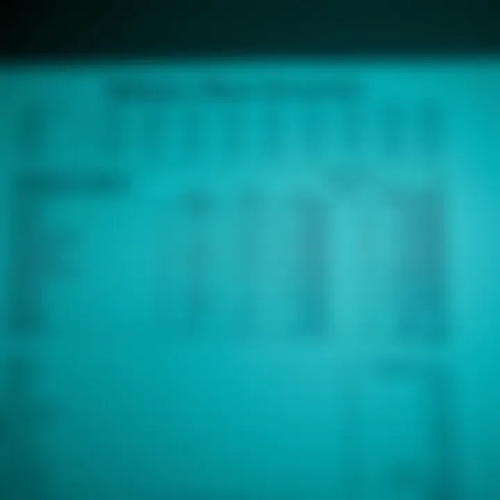 Overview of a balance sheet layout