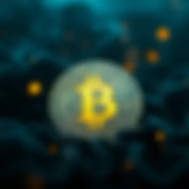 발카리 코인: 이론과 실제 Introduction 발카리 코인: 이론과 실제 Introduction