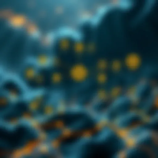 Visual representation of Binance's ecosystem