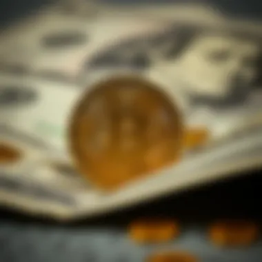 The relationship between Bitcoin and the US Dollar illustrated