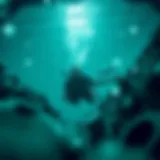 Exploring the depths of blockchain technology