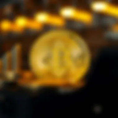 Tailored information platforms for investors