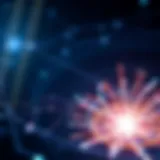 Conceptual representation of a decentralized autonomous organization