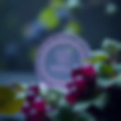 Visual representation of the innovative features of Grapecoin