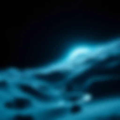 Conceptual representation of the horizon in physics