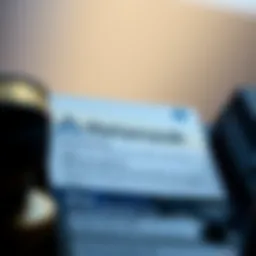 Detailed view of Metamask wallet interface