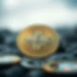 Mexc 거래소에 대한 상세 분석 Introduction