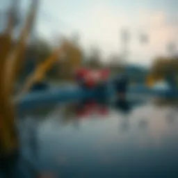 Pond 코인: 생태계와 투자 가능성 탐구 Introduction