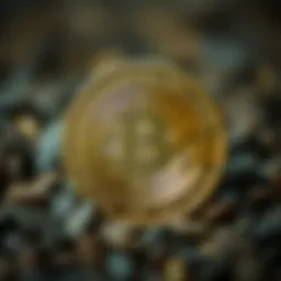 세폴리아 페이서: 암호화폐의 새로운 혁신 Introduction