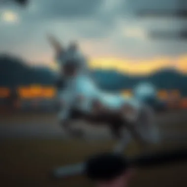 Case study analysis of successful unicorns in cryptocurrency