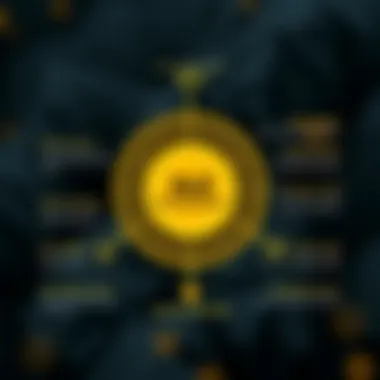 Diagram showing the ecosystem components of Sui blockchain