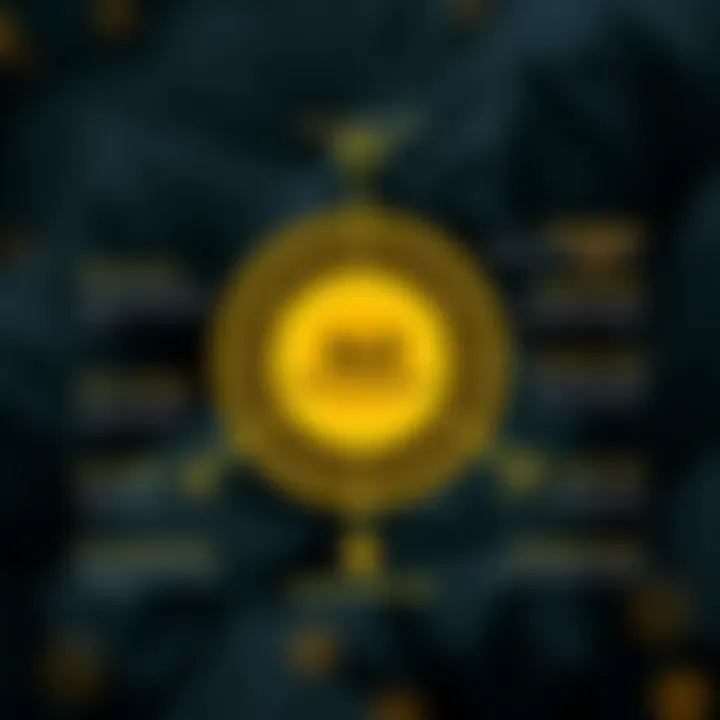 Diagram showing the ecosystem components of Sui blockchain