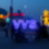 VVS의 의미: 암호화폐와 투자에 미치는 영향 Introduction
