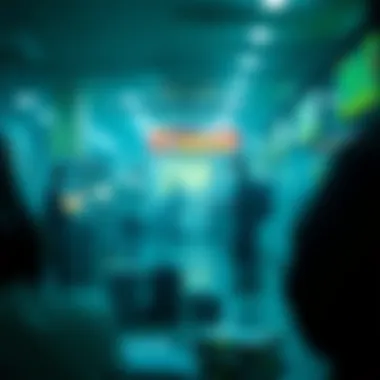 Whitelists in Financial Transactions Applications of whitelists in finance